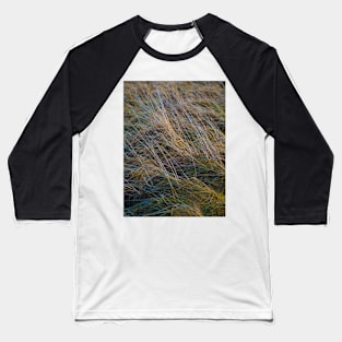 Rainbow grass Baseball T-Shirt